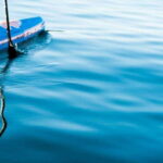 Victoria,BC: Learn to SUP and Tour - Why Choose This SUP Tour?