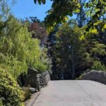 Victorias Historic Heights: An Audio Tour Through Beacon Hill - What Travelers Say and Why It Matters