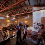Viña Cordelia: Guided visit to the vineyard - Why This Tour Is Worth Considering