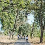 Vine Trail Discovery E-Bike Tour - Who Should Consider This Tour?