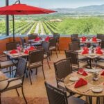 Vineyard, tour, tasting and fun in San Miguel de Allende - Final Thoughts