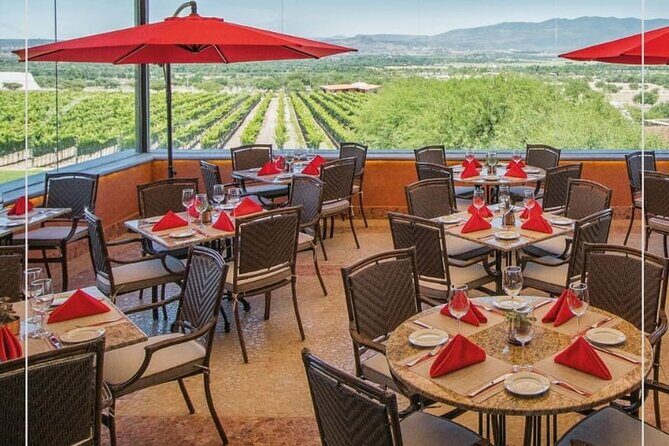 Vineyard, tour, tasting and fun in San Miguel de Allende - Final Thoughts