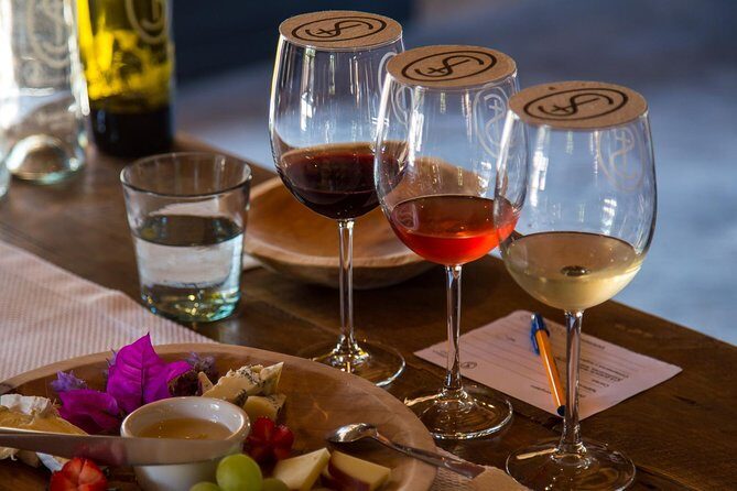 Vineyards, Wine Tasting and Pairing in San Miguel - Final Thoughts: Is This Tour for You?