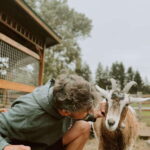 VIP Agritourism Tour of Île d'Orléans & Montmorency Fall - Who Should Consider This Tour?