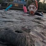 VIP Guided Swim with Manatee Tour Crystal River FL Free Photos - What Travelers Love About This Tour