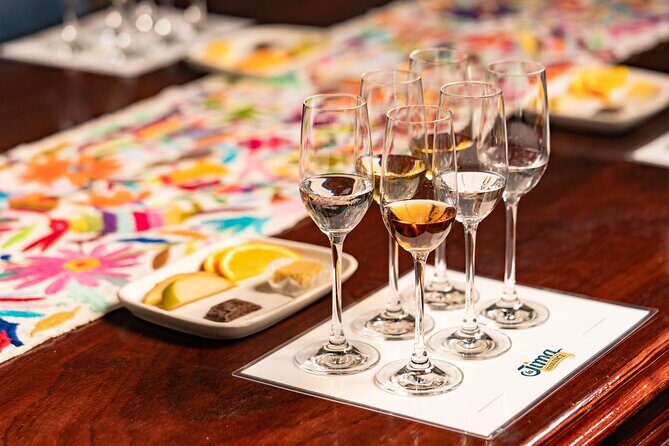 Vip Tequila Experience - Exploring Cultural and Historical Sites