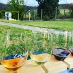 Virginia Wineries Tour - Who Will Love This Tour?