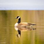 Visit Nature reserve, departure from Montreal, small group (2-4) - Who Will Love This Tour?