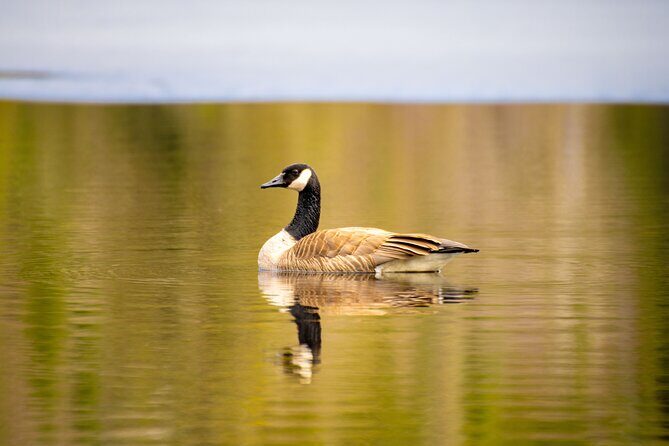 Visit Nature reserve, departure from Montreal, small group (2-4) - Who Will Love This Tour?