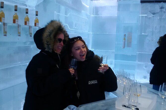 Visit Niagara Falls and experience a VIP Wine Tour - Authentic Traveler Feedback