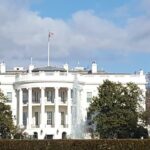 visit Us capitol+ DC Morning Bus Tour with cherry blossom - An In-Depth Look at the Tour Experience