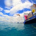 Waikiki: Snorkeling & Ocean Playground Experience - What the Reviews Say