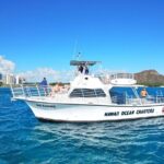 Waikiki Whale Watch & Cultural Stories: Sightings Guaranteed - Practical Tips and Considerations