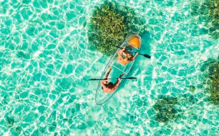 Waikk: Clear Kayak Rental with Safety Gear - Final Thoughts