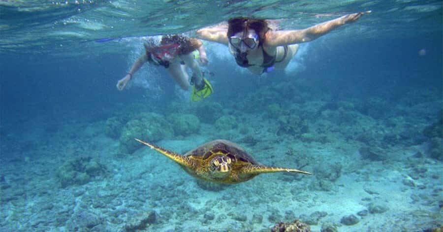 Wailea-Makina: Sea Caves, Molokini Snorkel & Turtle Town - What It Means for You: The Value and the Experience