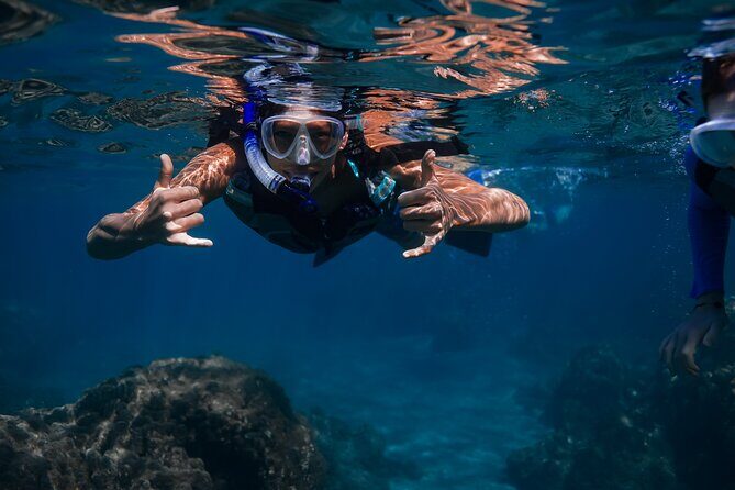 Wailea Wildlife Tour with Snorkeling - The Experience from the Traveler’s Perspective