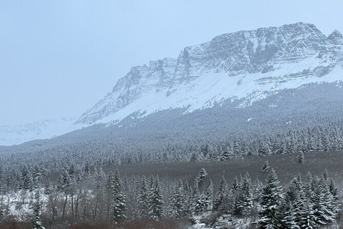 Waiprous Valley and Ghost Lake Offroad Tour - Who Will Love This Tour?