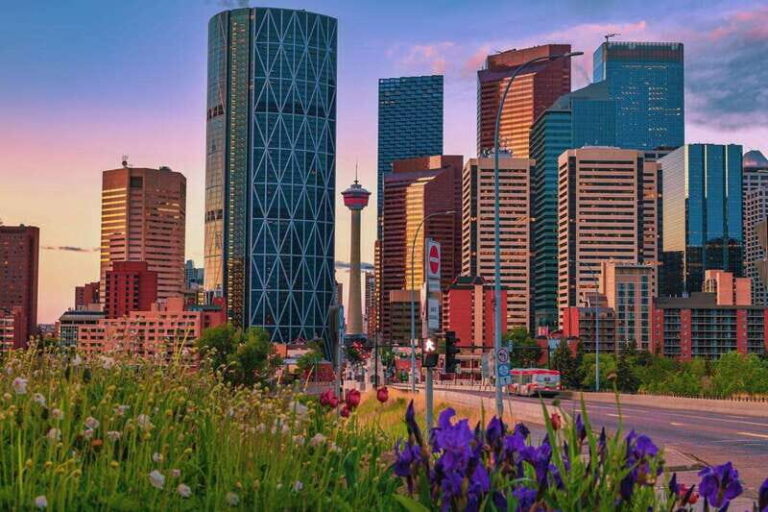 Walk the Best of Calgary Private Tour - The Experience: What We Loved and What to Watch For