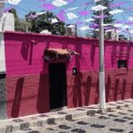 Walking Tour Experience in Ajijic Mexico - Who Should Consider This Tour?
