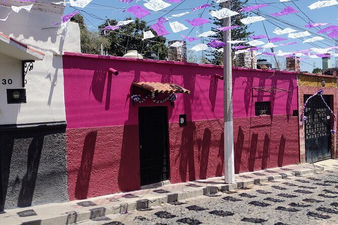 Walking Tour Experience in Ajijic Mexico - Who Should Consider This Tour?