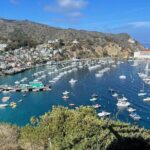 Walking Tour of California Adventure - Why It Offers Good Value