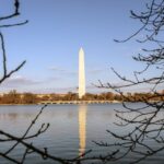 Washington: Cherry Blossom Tour - Practical Tips for Your Cherry Blossom Tour