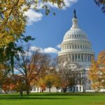 Washington D.C. Cherry Blossom,Baltimore 3-Day Tour from Boston - Authentic Experiences and Traveler Insights