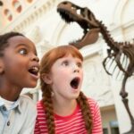 Washington DC Smithsonian Natural History Private Tour - The Overall Experience: Who Will Love It?