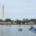 Washington DC: Tidal Basin Pedal Boat Rental - Why This Tour Offers Great Value