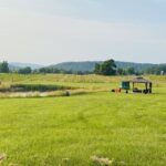 Washington, DC: Virginia Wine Region Experience Tour - Final Thoughts