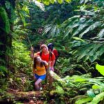 Waterfall, Chocolate Tour, Rainforest, Royal Historical - Who Will Love This Tour?