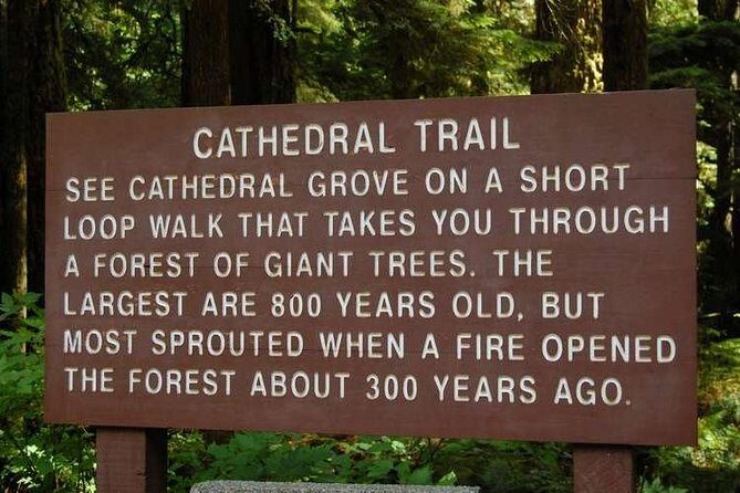 Waterfalls, Coombs and Cathedral Grove Rainforest Tour - Analyzing the Cost and Overall Value