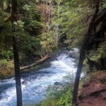 Waterfalls & the McKenzie River in a Tesla - The Charm of McKenzie Bridge
