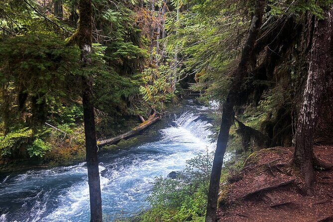 Waterfalls & the McKenzie River in a Tesla - The Charm of McKenzie Bridge