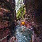 Waterton National Park and Bison Safari Tour with Picnic - Who Will Love This Tour?