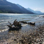 Waterton National Park Full-Day Private Tour From Calgary - Authentic Feedback and What It Means