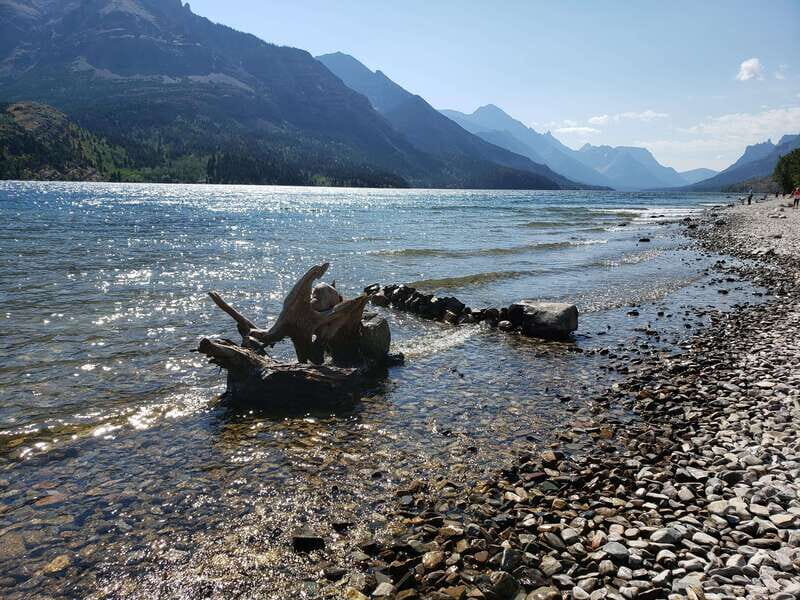 Waterton National Park Full-Day Private Tour From Calgary - Authentic Feedback and What It Means