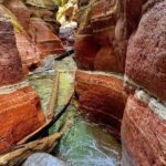 Waterton National Park Premium Day Tour - The Price and What You’re Getting