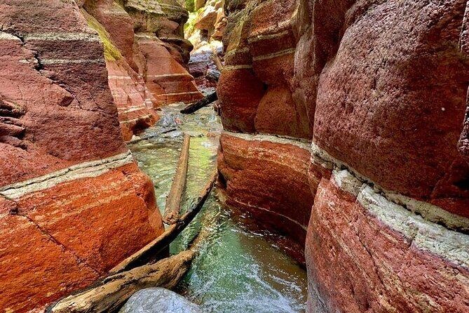 Waterton National Park Premium Day Tour - The Price and What You’re Getting