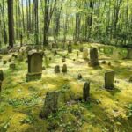 Wears Valley: Peaceful Smokies & 1882 Historic Schoolhouse - Why Travelers Love This Tour (Based on Reviews)