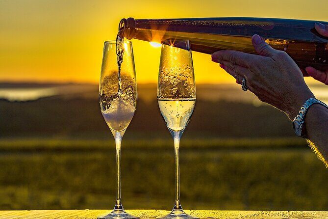 Wedding Anniversary Traverse City Old Mission Peninsula Wine Tour - The Itinerary: What to Expect