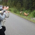 Welcome To Camping At Algonquin Park (2 Day) - The Sum Up