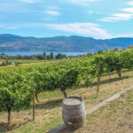 West Kelowna: Afternoon Sightseeing and Wine Tour - Who Should Consider This Tour?