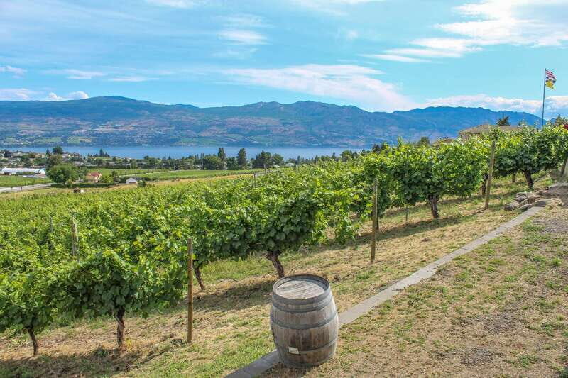 West Kelowna: Afternoon Sightseeing and Wine Tour - Who Should Consider This Tour?