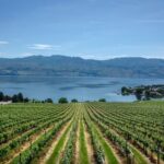 West Kelowna Full Day Lunch Wine Tour-Incl Tastings & Guide Grat - Who Would Enjoy This Tour?