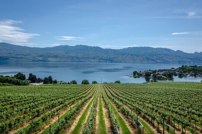 West Kelowna Full Day Lunch Wine Tour-Incl Tastings & Guide Grat - Who Would Enjoy This Tour?