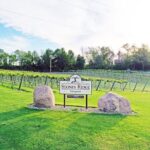 West Michigan Wine and Brewery Join in Day Tour - Logistics and Practicalities