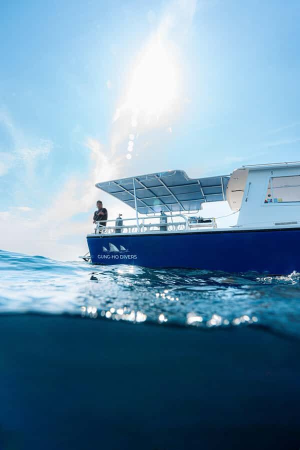 West Palm Beach: Shark Snorkel Adventure with Gung Ho Divers - What Makes This Tour Stand Out