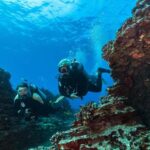 West Shore Oahu Shallow Reef Scuba Dive for Certified Divers - What Makes This Dive Special?