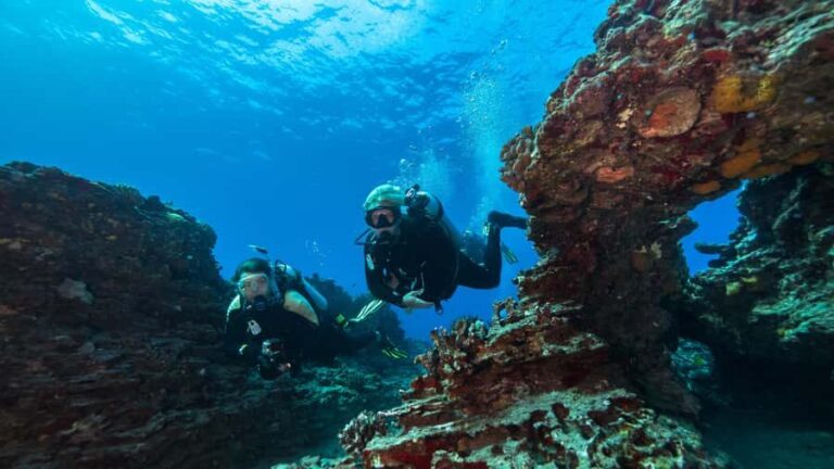 West Shore Oahu Shallow Reef Scuba Dive for Certified Divers - What Makes This Dive Special?